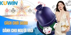 cach-choi-sicbo